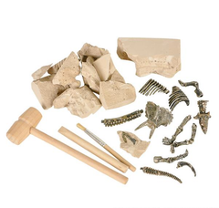 DINOSAUR DELUXE FOSSIL EXCAVATION KIT LLB kids toys
