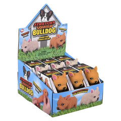 3.5" STRETCHY, SQUISH BULLDOG LLB Squishy Toys