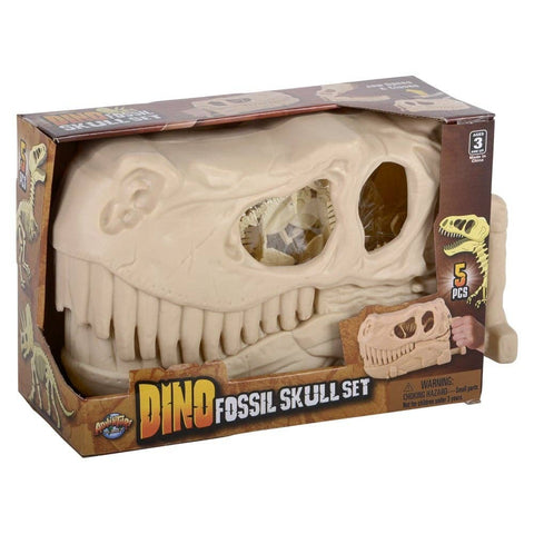10" Dinosaur Fossil Skull Set 5ct - LLB Toys