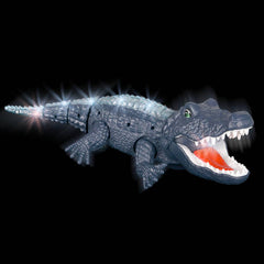 16" Crawling Crocodile - LLB Toys
