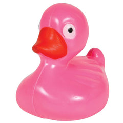 FLOATING PLASTIC DUCKS LLB kids toys