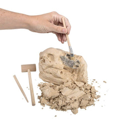 6.5" VELOCIRAPTOR SKULL EXCAVATION LLB kids toys