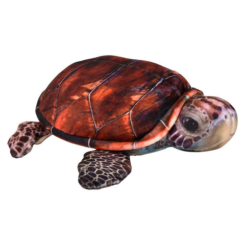 Real Ones Turtle (2 Asst.) 6" 144/0 - LLB Toys