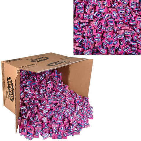 Treat Size Nerds Strawberry - LLB Candy