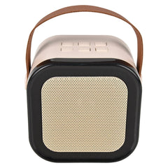 Wireless Karaoke Dual Mic Speaker - LLB Toys