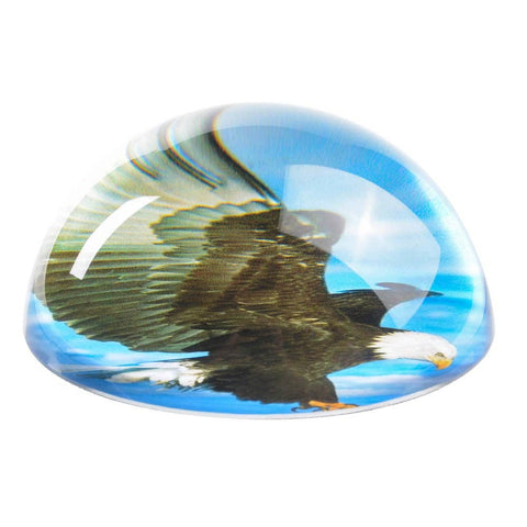 80 MM DOME PAPERWEIGHT EAGLE LLB kids toys