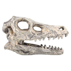 6.5" VELOCIRAPTOR SKULL EXCAVATION LLB kids toys