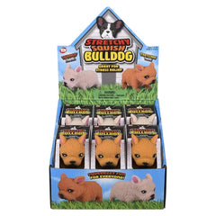 3.5" STRETCHY, SQUISH BULLDOG LLB Squishy Toys