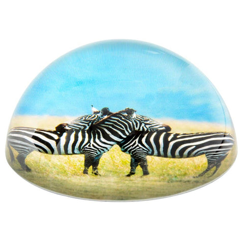 80 MM DOME PAPERWEIGHT 2 ZEBRAS LLB kids toys