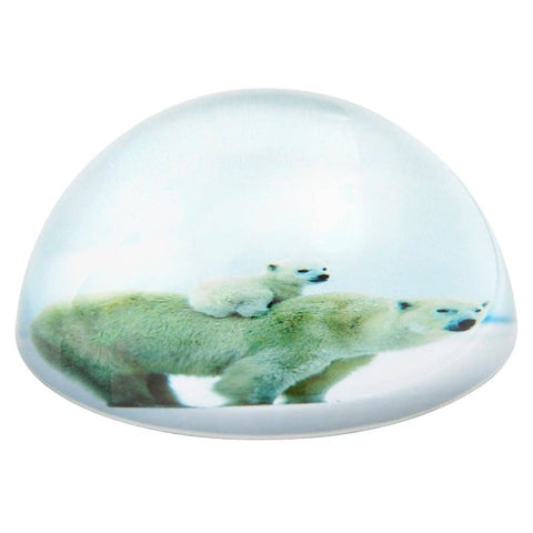 80 MM DOME PAPERWEIGHT POLAR BEAR LLB kids toys