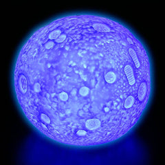 COLOR CHANGING MOON LIGHT LLB kids toys