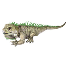 33" Iguana