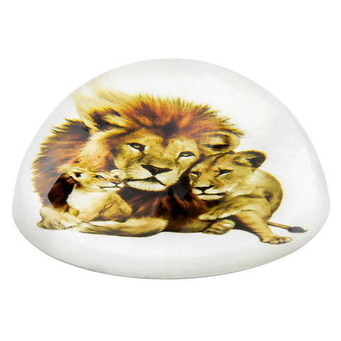 80 MM DOME PAPERWEIGHT LION LIONESS CUB LLB kids toys