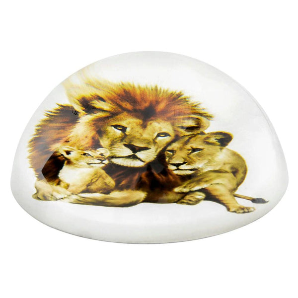 80 MM DOME PAPERWEIGHT LION LIONESS CUB LLB kids toys