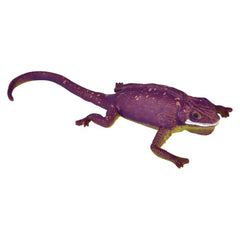 6" Color Changing Lizard Novelty Toy 12ct - LLB Toys