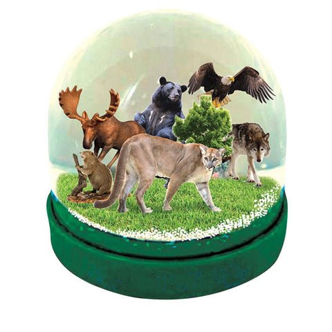 60MM WATER BALL N AMERICAN LLB kids toys