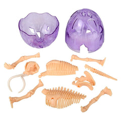 Dinosaur Egg Model (4 Asst.) 5"    -  LLB Toys