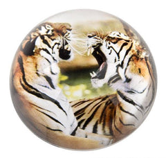 80 MM DOME PAPERWEIGHT TIGER LLB kids toys