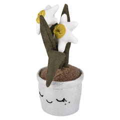 Plush Succulent Assortment -LLB Toys