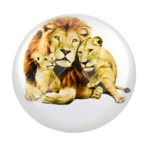 80 MM DOME PAPERWEIGHT LION LIONESS CUB LLB kids toys