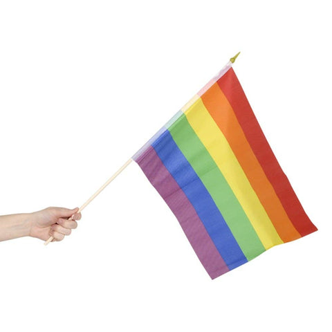12" x 18" RAINBOW FLAG LLB kids toys