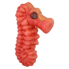 Giant Hatch And Grow Sealife - LLB Toys