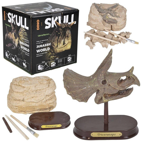 6.5" TRICERATOPS SKULL EXCAVATION LLB kids toys
