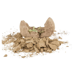 3" DINOSAUR FOSSIL EGG LLB kids toys