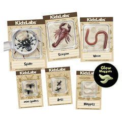 KidzLabs /Halloween Creepy Crawly Digging Lab