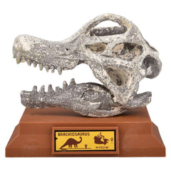 6.5" BRACHIOSAURUS SKULL EXCAVATION LLB kids toys