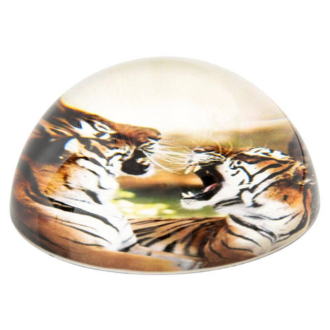80 MM DOME PAPERWEIGHT TIGER LLB kids toys