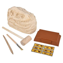 6.5" VELOCIRAPTOR SKULL EXCAVATION LLB kids toys