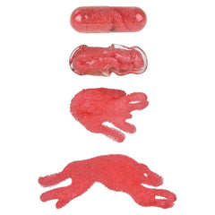 MAGIC GROWING ANIMAL CAPSULES LLB Slime & Putty