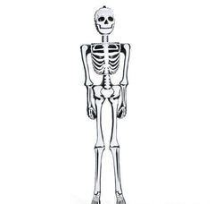 SKELETON INFLATE 6 FOOT LLB Inflatable Toy