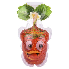 FRUIX CRAZY FRUIT JELLY POUCH 24PCS LLB kids toys