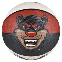 9.5" Cincinnati Regulation Basketball LLB kids toys