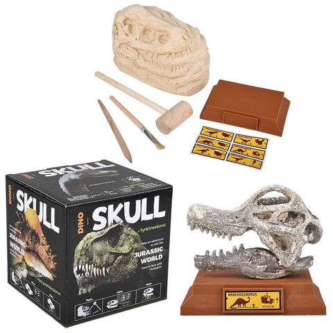 6.5" BRACHIOSAURUS SKULL EXCAVATION LLB kids toys