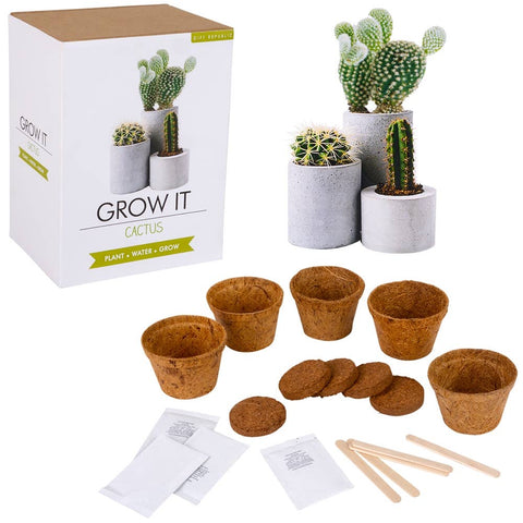 Grow It Cactus - LLB Toys