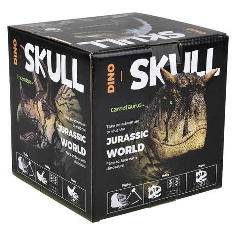 6.5" TRICERATOPS SKULL EXCAVATION LLB kids toys