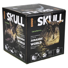 6.5" TRICERATOPS SKULL EXCAVATION LLB kids toys