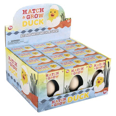 Small Hatch And Grow Duck Egg LLB kids toys