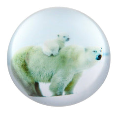80 MM DOME PAPERWEIGHT POLAR BEAR LLB kids toys
