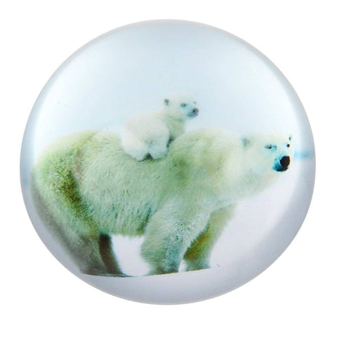 80 MM DOME PAPERWEIGHT POLAR BEAR LLB kids toys