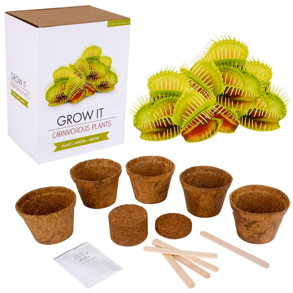 Grow It Carnivorous Plants - LLB Toys