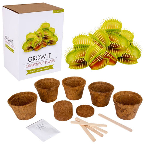 Grow It Carnivorous Plants - LLB Toys