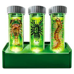 KidzLabs /Halloween Creepy Crawly Digging Lab