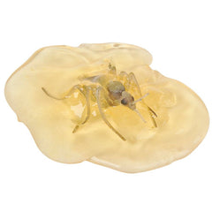 PEST PUTTY EGG LLB Slime & Putty