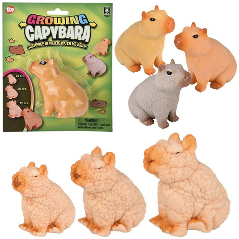 3" Growing Capybara- LLB Toys