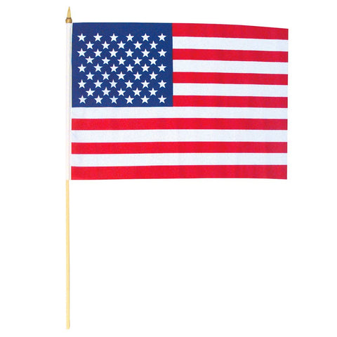 12"x 18" AMERICAN FLAG LLB kids toys