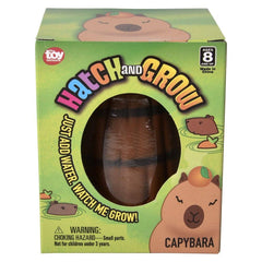 Small Hatch And Grow Capybara Egg 2.5"" - LLB Toys